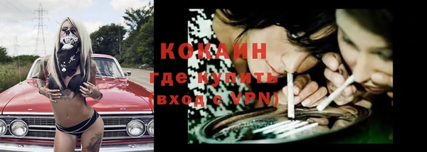 шишки Майский