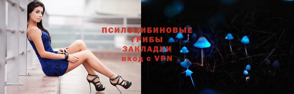 шишки Майский