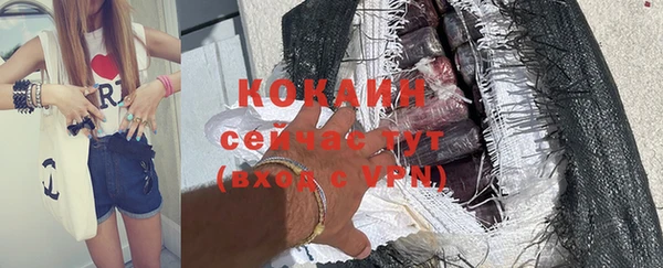 шишки Майский