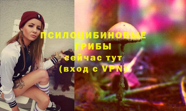 шишки Майский