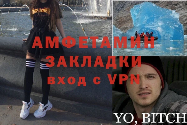 шишки Майский