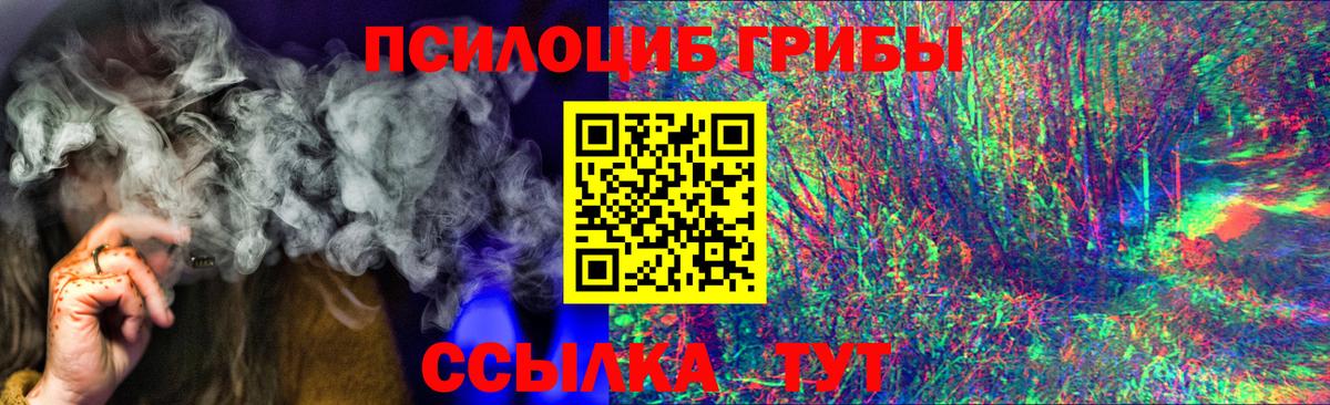 Псилоцибиновые грибы Psilocybe Партизанск